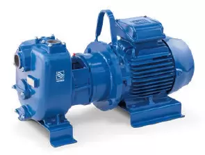 Самовсасывающий насос Varisco JE 2-215 G10 NT20 (миниатюра)