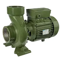 Наcосный агрегат моноблочный резьбовой SAER BP 11NB 230V (миниатюра)