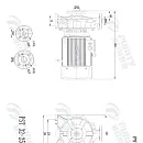Консольно-моноблочный фланцевый насос PSTG 32-250/75D (N). Дополнительное изображение 2