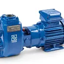 Самовсасывающий насос Varisco JE 1-110 G10 NT20. Основное изображение