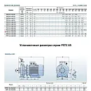 Консольно-моноблочный фланцевый насос PURITY PSTC 65-250/220 (N). Дополнительное изображение 2