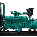 Дизельный генератор Motor Cummins C700 D5 с АВР. Основное изображение