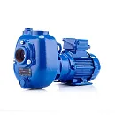 Самовсасывающий насос Varisco JE 2-100 G10 NT20. Основное изображение