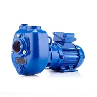 Самовсасывающий насос Varisco JE 2-100 G10 NT20 (миниатюра)