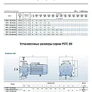 Консольно-моноблочный фланцевый насос PURITY PSTC 80-125-40. Дополнительное изображение 1