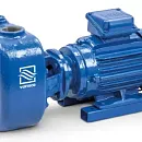 Самовсасывающий насос Varisco JE 1-160 G30 NT20. Основное изображение