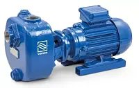 Самовсасывающий насос Varisco JE 1-160 G30 NT20 (миниатюра)