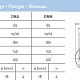 Циркуляционный насос Saer L-2P 65-125S-132. Дополнительное изображение 4