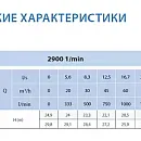 Циркуляционный насос In-Line SAER L-2P 100-160-137. Дополнительное изображение 2