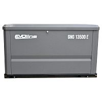 Газовый генератор EVOline GNG 13500 E (миниатюра)