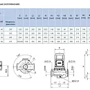 Циркуляционный насос In-Line SAER L-2P 100-200-207. Дополнительное изображение 1