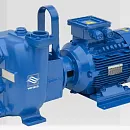 Самовсасывающий грязевой электронасос Varisco JE 1-180 G10 MT20. Основное изображение