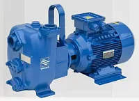 Самовсасывающий грязевой электронасос Varisco JE 1-180 G10 MT20 (миниатюра)