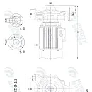 Консольно-моноблочный фланцевый насос PSTG 40-250/110 (N). Дополнительное изображение 2