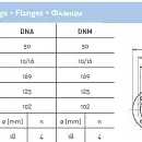 Циркуляционный насос In-Line SAER L-2P 50-250N-220. Дополнительное изображение 4