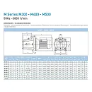 Самовсасывающий насос SAER M 400A, 230 В. Дополнительное изображение 1