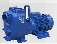 Самовсасывающий грязевой электронасос Varisco JE 3-140 G10 MT20 (миниатюра)