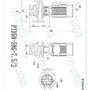Насос в линию PURITY PTD 50-59G/2. Дополнительное изображение 3