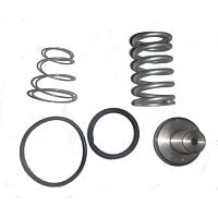 Ремкомплект клапана минимального давления G35F 1-1/4" (миниатюра)