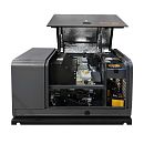 Газовый генератор Mitsui Power GM 7000. Дополнительное изображение 3