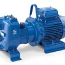 Самовсасывающий насос Varisco JE 2-215 G10 NT20. Основное изображение