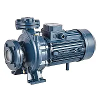 Консольно-моноблочный фланцевый насос PURITY PSTC 32-250/55D (N) (миниатюра)