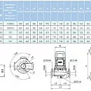Циркуляционный насос In-Line SAER L-2P 40-200N-200. Дополнительное изображение 3