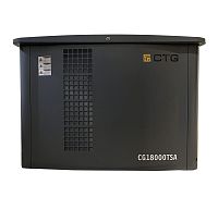 Газовый генератор CTG CG18000TSA (миниатюра)