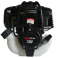 Бензиновый двигатель EVOline 135 F (миниатюра)