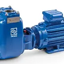 Самовсасывающий насос Varisco JE 2-120 G10 NT20. Основное изображение
