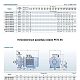 Поверхностный насос Purity PSTC 65-250/300 (N). Дополнительное изображение 2