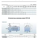 Консольно-моноблочный фланцевый насос PURITY PSTC 80-160/185 (N). Дополнительное изображение 2