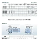Консольно-моноблочный фланцевый насос PURITY PSTC 65-125/55 (N). Дополнительное изображение 2