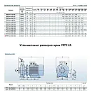 Консольно-моноблочный фланцевый насос PURITY PSTC 65-250-370 (N). Дополнительное изображение 1