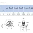 Циркуляционный насос In-Line SAER L-2P 100-125-114. Дополнительное изображение 1