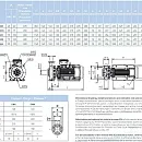 Насосный агрегат моноблочный фланцевый SAER IR 100-250A. Дополнительное изображение 2