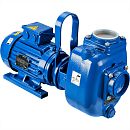 Самовсасывающий насос Varisco JE 3-100 G10 NT20. Основное изображение