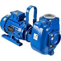 Самовсасывающий насос Varisco JE 3-100 G10 NT20 (миниатюра)