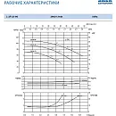 Циркуляционный насос In-Line SAER L-2P 25-90-73 2''. Дополнительное изображение 2