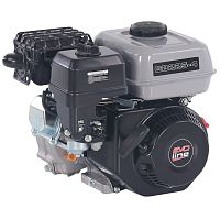 Бензиновый двигатель EVOline GB 225-4 (миниатюра)