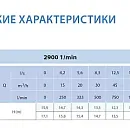 Циркуляционный насос In-Line SAER L-2P 100-125-114. Дополнительное изображение 2