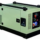 Бензиновый генератор Fogo FV13000CRA. Основное изображение