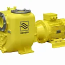 Самовсасывающий грязевой электронасос Varisco JE 6-250 G11 FT40. Основное изображение