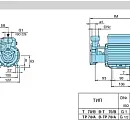 Насос вихревой Calpeda TM 76 230/50 Hz. Дополнительное изображение 2