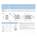 Насосный агрегат моноблочный фланцевый SAER IR 40-250C. Дополнительное изображение 4