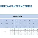 Циркуляционный насос In-Line SAER L-2P 25-90-73 2''. Дополнительное изображение 1