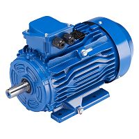 Электродвигатель АИР 100 L2 IM1081 (5.5кВт, 3000 об.мин., ГОСТ, IP55) (миниатюра)