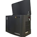 Газовый генератор CTG CG18000SA. Дополнительное изображение 2
