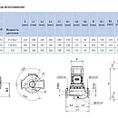 Циркуляционный насос In-Line SAER L-2P 100-160-137. Дополнительное изображение 1