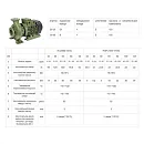 Насосный агрегат моноблочный фланцевый SAER IR 50-250NB/A. Дополнительное изображение 1